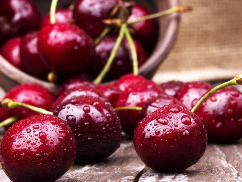 Вишня купить саженцы из питомника в Заречном